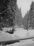 Krkonoše